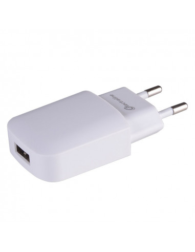 ELECTRALINE Chargeur USB mural 1A blanc