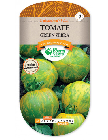 LES DOIGTS VERTS Tomate Green Zebra