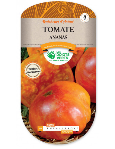 LES DOIGTS VERTS Tomate Ananas