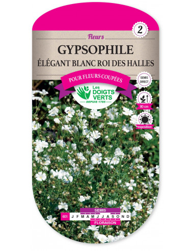 LES DOIGTS VERTS Gypsophile Élégant Blanc Roi des Halles