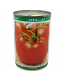 LES DOIGTS VERTS Tomate Talata Merveille Hybride F1 - Adaptée à la culture tropicale - Boite Métallique 50 gr