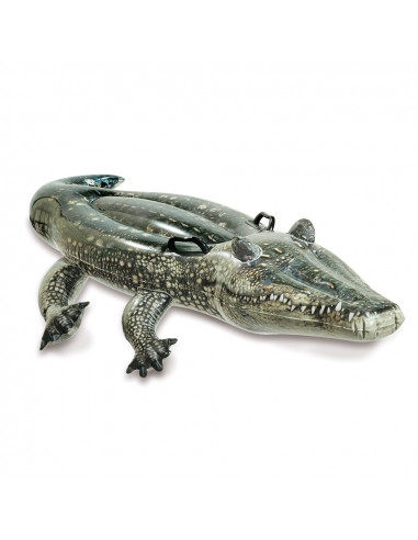 INTEX Crocodile Alligator à chevaucher avec 2 poignées Gonflable Effet Réaliste