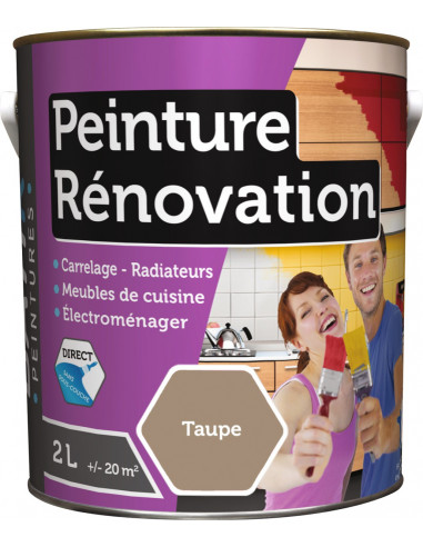 RECA Peinture Rénovation Multi-surfaces BATIR Taupe 2L