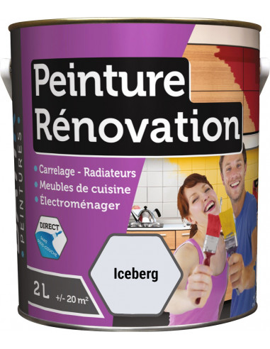 RECA Peinture Rénovation Multi-surfaces BATIR Iceberg 2L