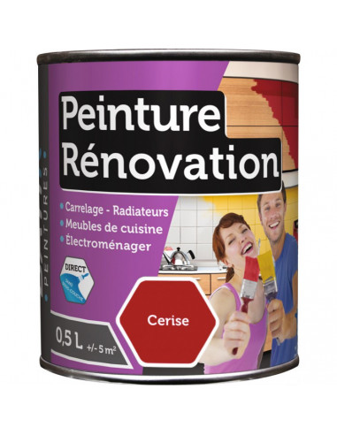 RECA Peinture Rénovation BATIR cerise 0.5 L