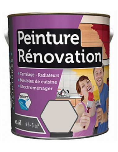 RECA Peinture Rénovation BATIR Iceberg 0.5 L
