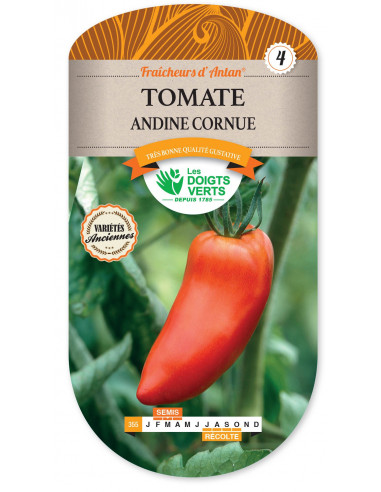 LES DOIGTS VERTS Tomate andine cornue