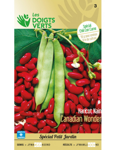Nos graines haricot rouge à écosser Canadian Wonder - La Bonne Graine