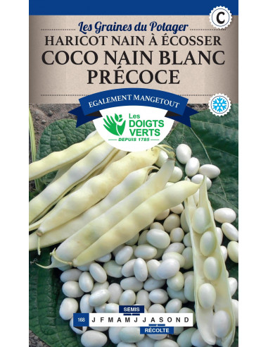 LES DOIGTS VERTS Haricot Coco Nain Blanc Précoce