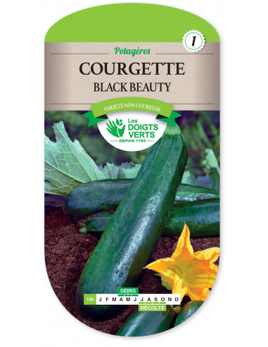 LES DOIGTS VERTS Courgette Black Beauty