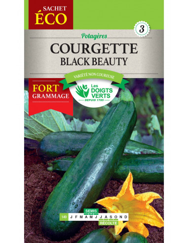 LES DOIGTS VERTS Courgette Black Beauty Eco