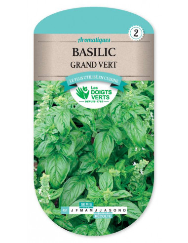 LES DOIGTS VERTS Basilic Grand Vert