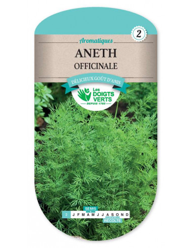 LES DOIGTS VERTS Aneth Officinale