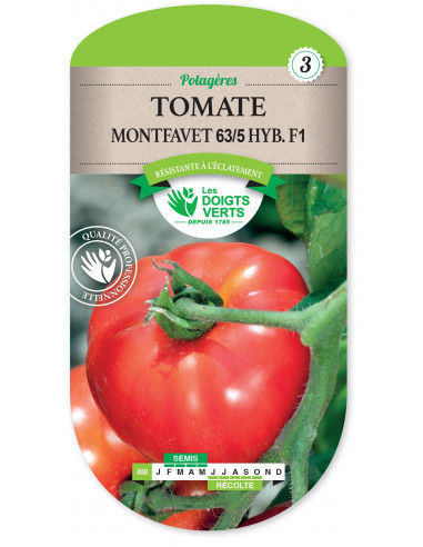 LES DOIGTS VERTS Tomate Montfavet 63/5 Hybride F1