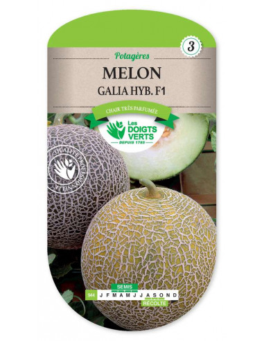 LES DOIGTS VERTS Melon Galia Hybride F1
