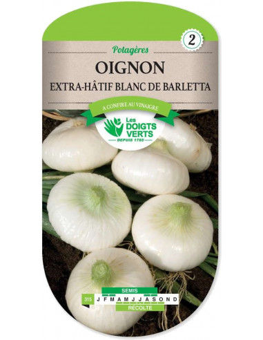 LES DOIGTS VERTS Oignon blanc extra-hâtif de Barletta