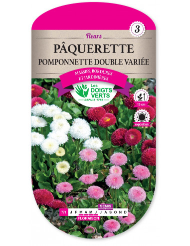 LES DOIGTS VERTS Pâquerette Pomponnette Double Variée