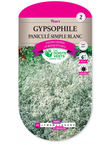 LES DOIGTS VERTS Gypsophile Paniculé Simple Blanc