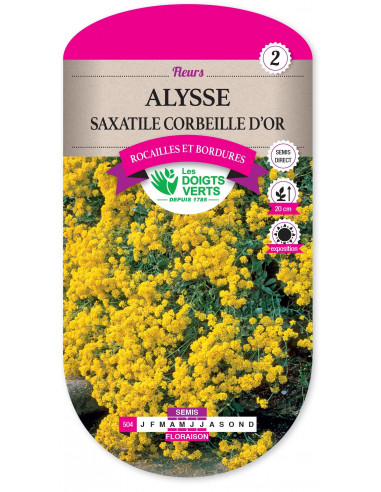 LES DOIGTS VERTS Alysse Saxatile Corbeille d’Or