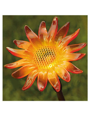 TRUE VALUE Fleur solaire marron 400mah