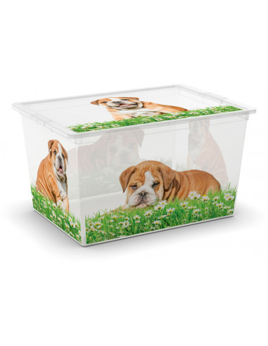 KIS Boîte de rangement plastique C BOX Style XL Animaux - 38,5 x 55 x 30,5 cm 50 L