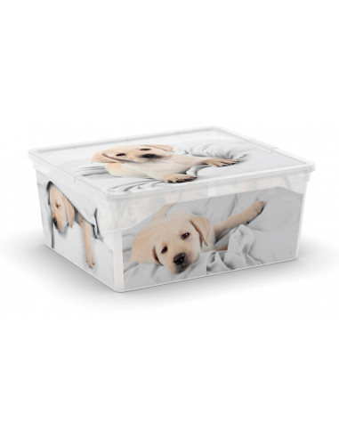 KIS Boîte de rangement plastique C BOX Style M Animaux - 34 x 40 x 17 cm 18 L