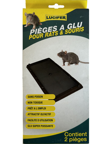 MASY 77 Boîte de piège à glu pour rats et souris (x2) - 130 x 255 mm