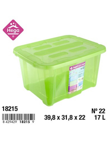 HOGAR 18215 Boîte de rangement BIG BEN nº22 vert transparent - 39,8 x 31,8 x 22 cm, 17 L